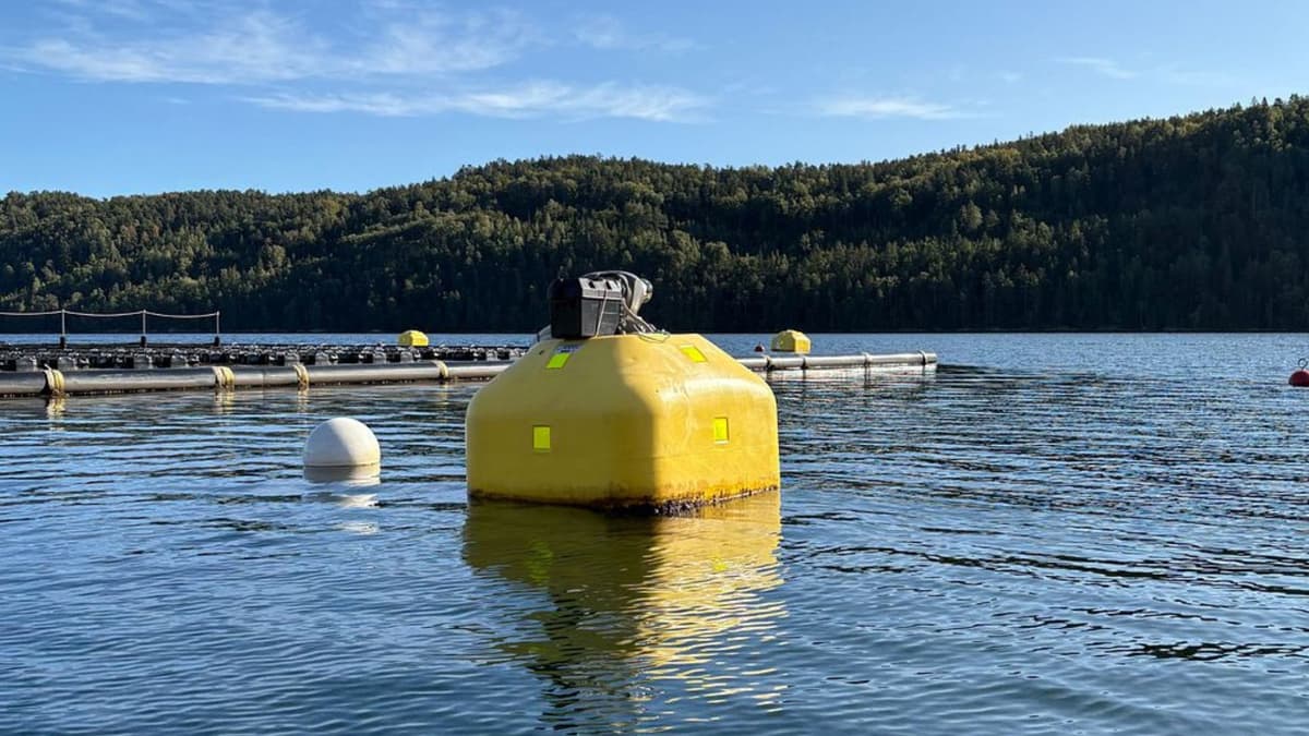 Tension Buoy: Solusi Cerdas Stabilkan Panel Surya Terapung di Waduk
