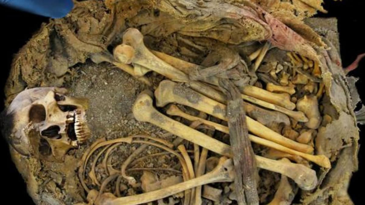 Penemuan Mikrobioma Usus 1.000 Tahun Lalu dalam Mumi Meksiko Ungkap Diet Kuno