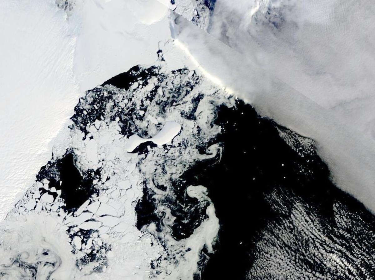 Ditemukan Spons Raksasa Berusia 15.000 Tahun di Antartika, Hewan Tertua di Bumi