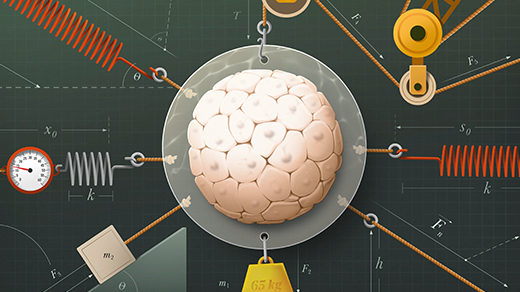 Bagaimana Gaya Mekanik dan Efek Marangoni Membentuk Perkembangan Embrio