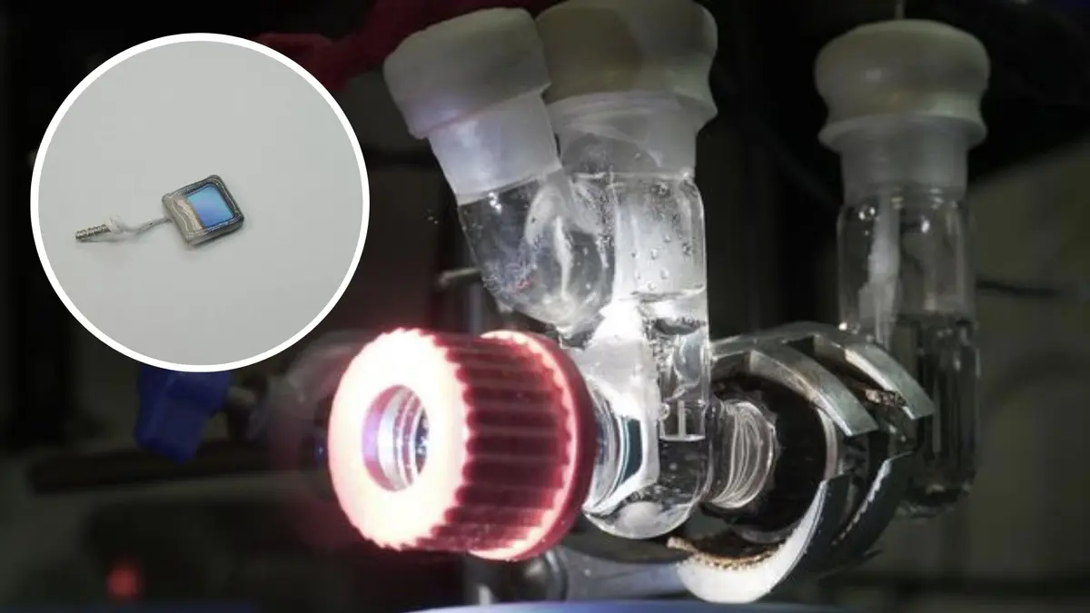 Inovasi ‘Daun Semi-Artificial’ untuk Hentikan Ketergantungan Industri Kimia pada Fosil