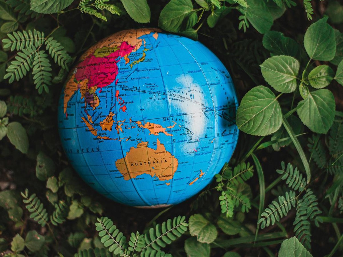 Misteri Garis Wallace: Mengapa Spesies Indonesia dan Australia Berbeda Signifikan