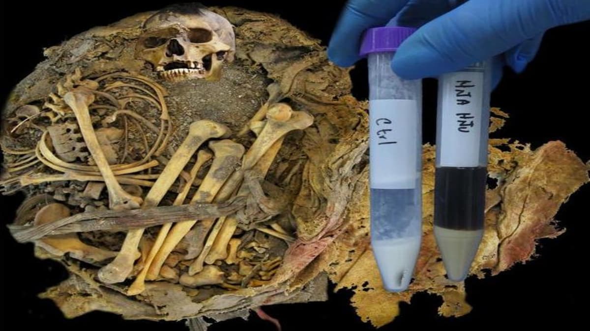 Penemuan Mayat 1.000 Tahun Ungkap Rahasia Mikroba Usus Manusia Kuno