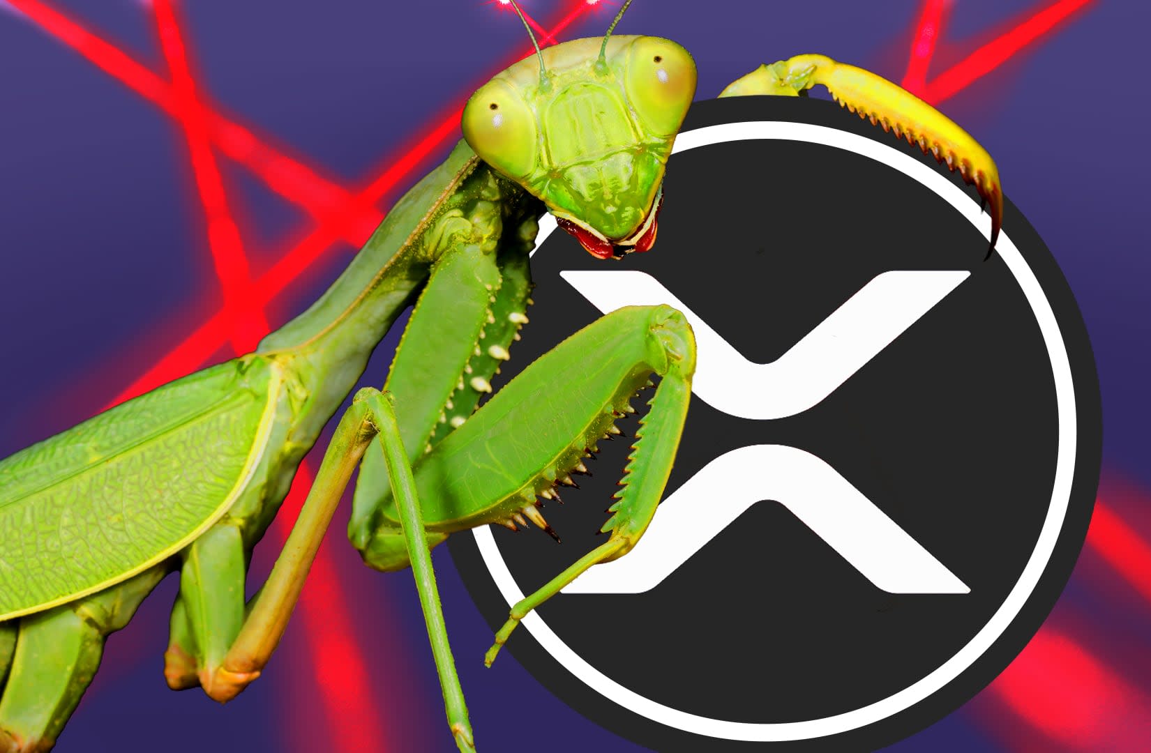 Ripple Tawarkan 200.000 Dollar untuk Temukan Bug di Protokol Pinjaman XRP Ledger