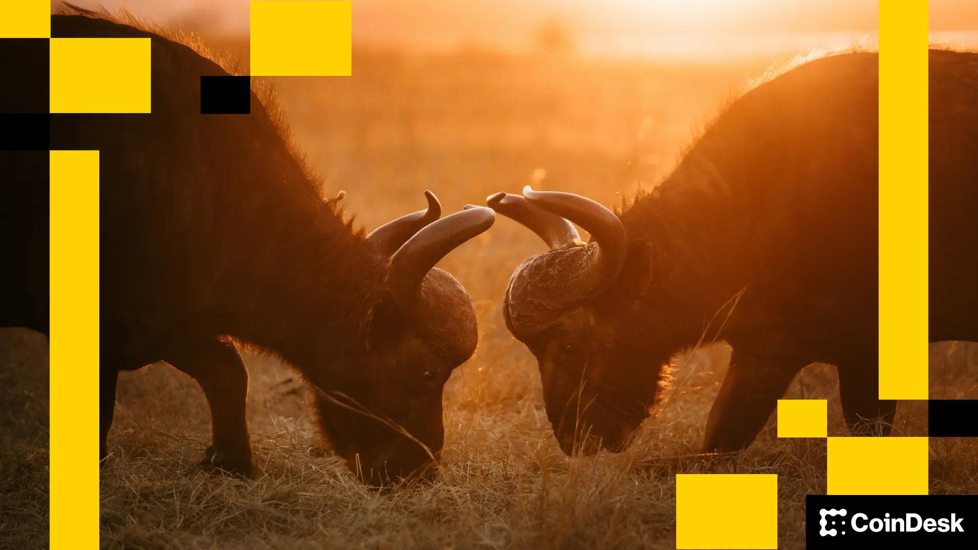 Persaingan Ketat Stablecoin: Tether dan Circle Hadapi Tantangan Baru Pasar 2025