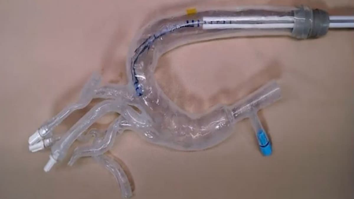 Robot Lunak Berbentuk Tanaman Merambat, Solusi Canggih untuk Ruang Sempit