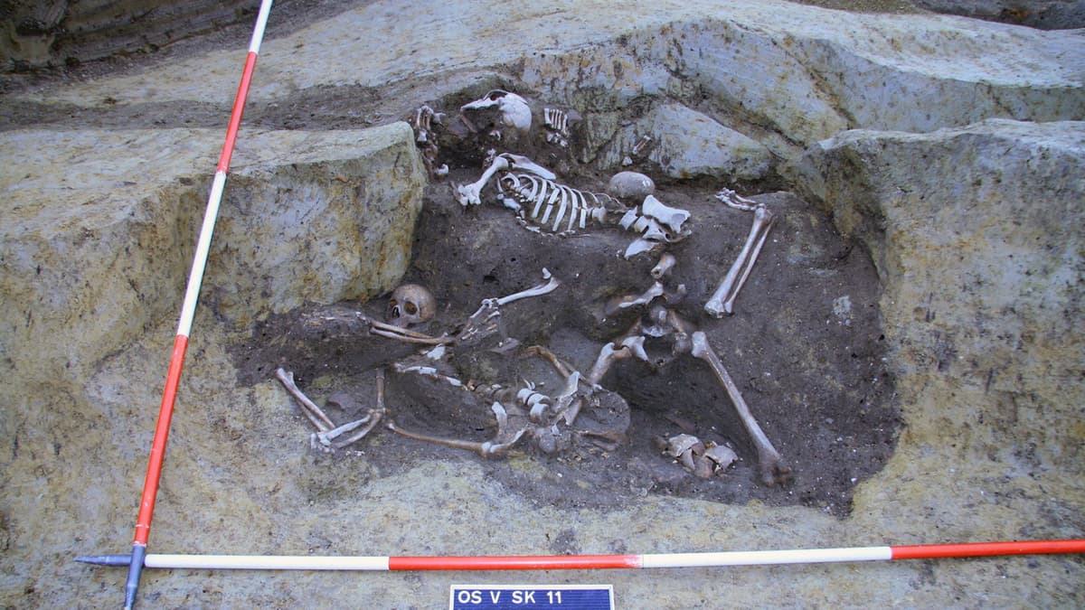 Kuburan Massal Tentara Romawi di Osijek Ungkap Kisah Pertempuran Mursa 260 M