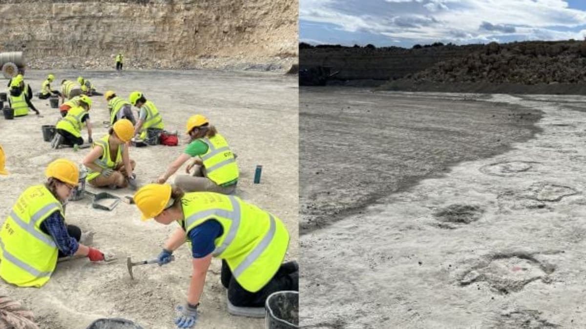 Jejak Dinosaurus Terpanjang di Eropa Terungkap di Oxfordshire