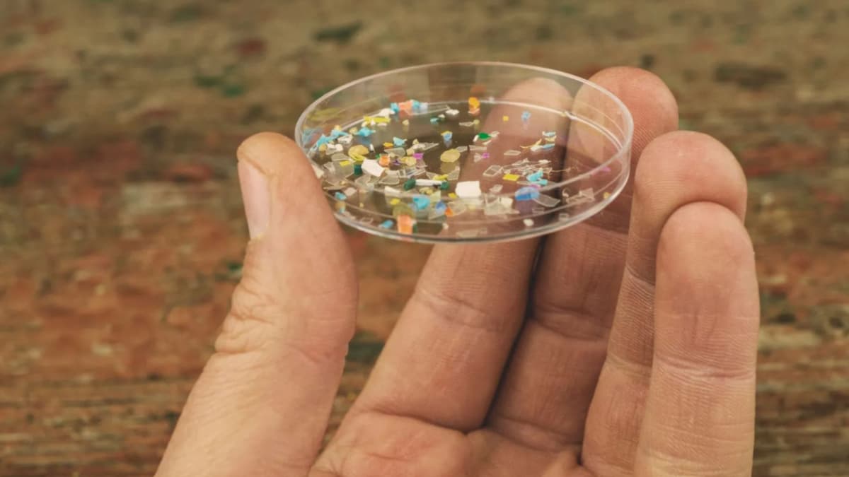 Bahaya Nanoplastik: Bagaimana Plastik Mikro Menembus Kulit dan Sistem Tubuh Kita