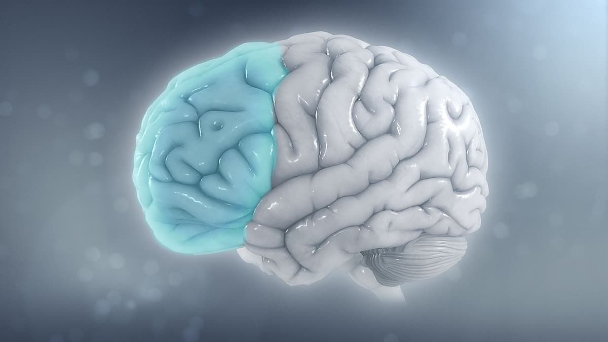 Model Otak 3D MiBrain: Terobosan Baru Studi Penyakit Alzheimer dan Pengobatan Personal