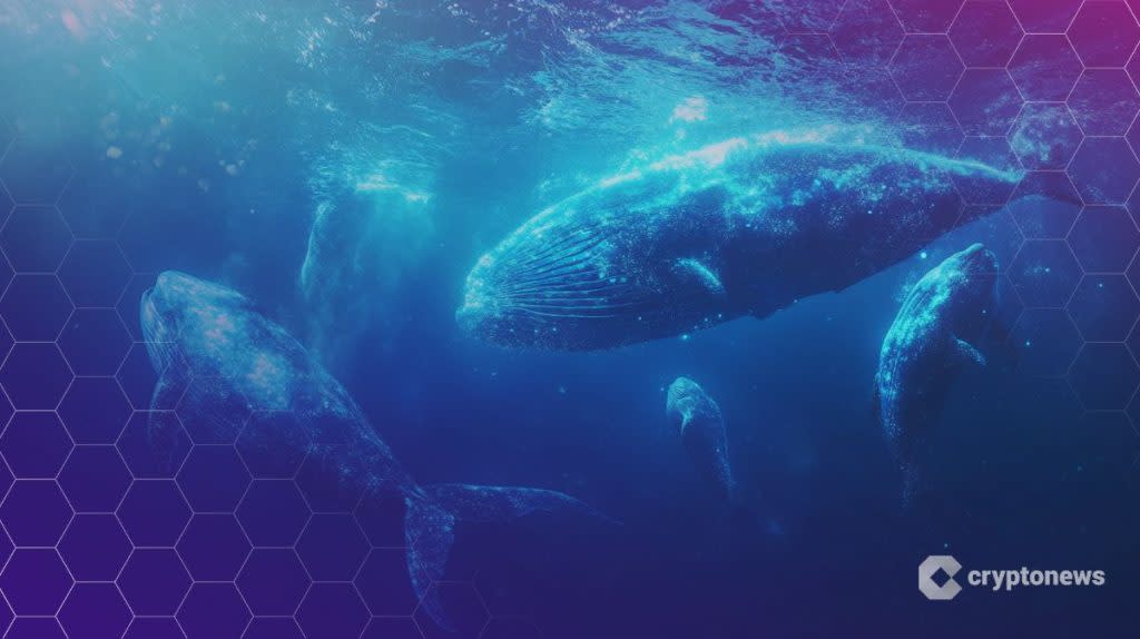 OpenSea Siap Luncurkan Token SEA di 2026, Buka Era Baru Perdagangan Kripto
