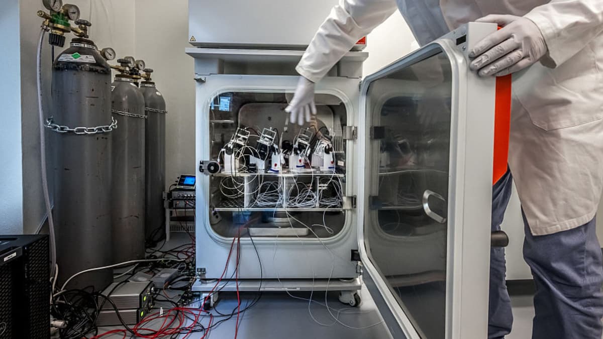 Menggunakan Otak Mini Hidup untuk Komputer Masa Depan yang Hemat Energi