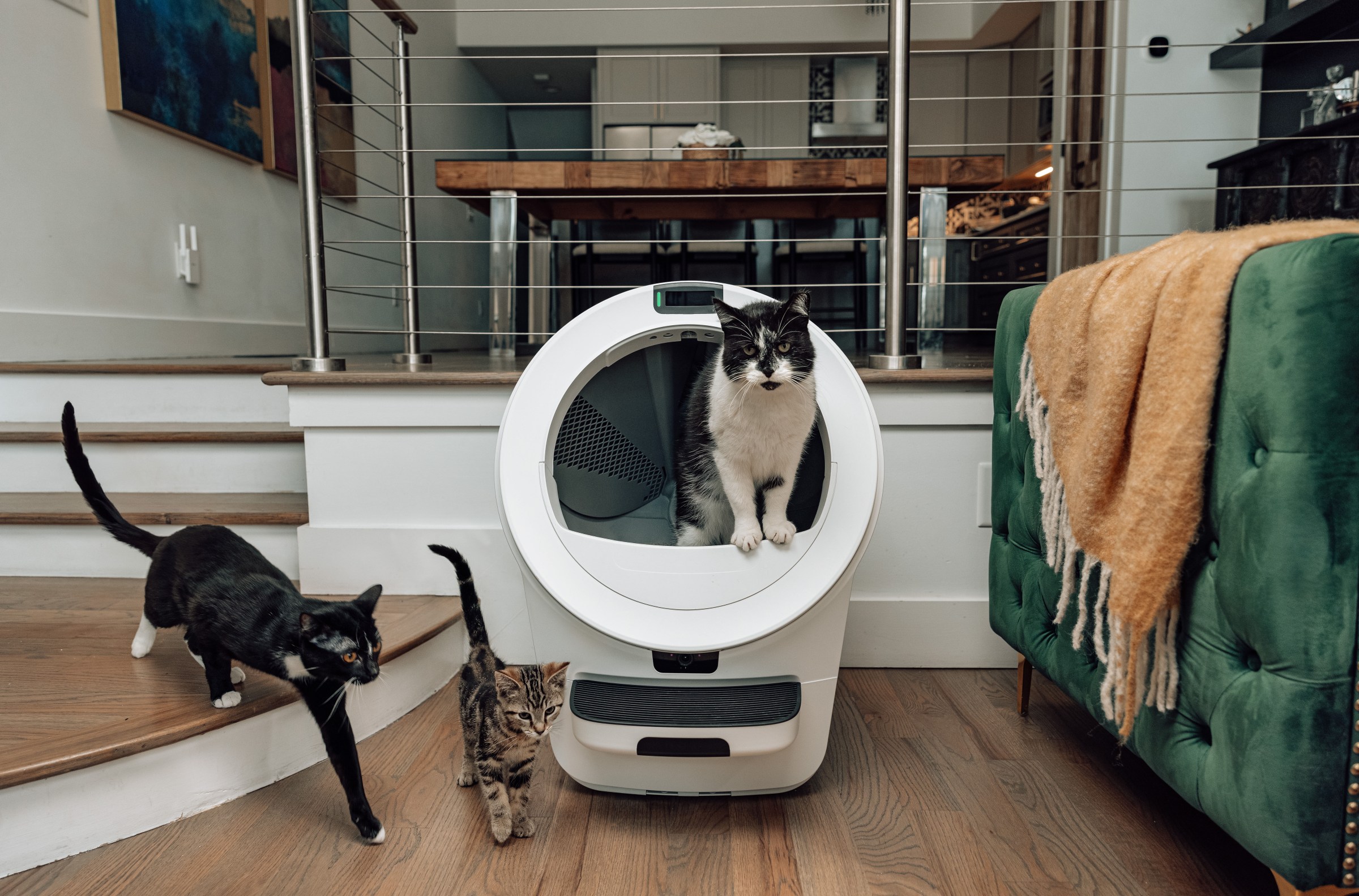 Litter-Robot 5 Pro: Kotak Pasir AI dengan Pengenalan Wajah Untuk Kucing
