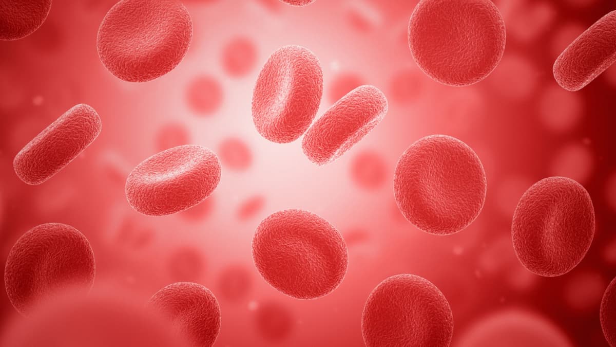 Teknologi Sel Hidup yang Bersinar Membuka Rahasia Penyakit Secara Real Time