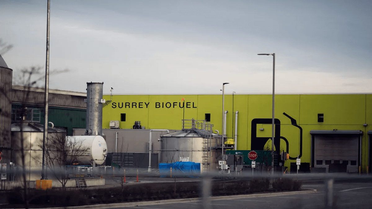 Penemuan Bakteri Baru Ubah Sampah Makanan Jadi Energi Ramah Lingkungan