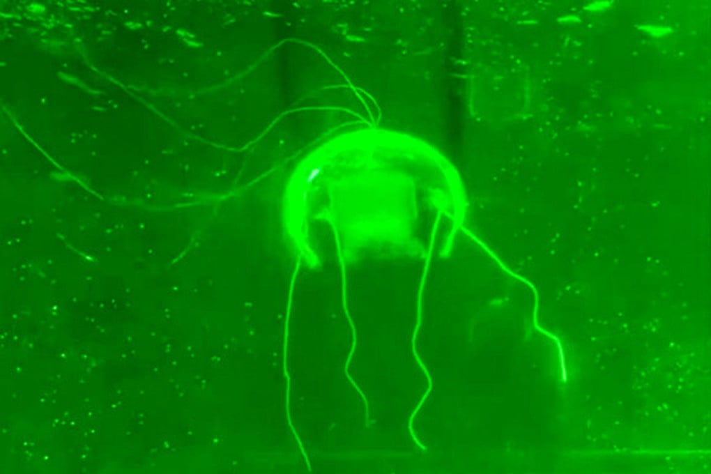 Robot Ubur-Ubur Transparan Canggih untuk Pemantauan Rahasia di Laut Dalam