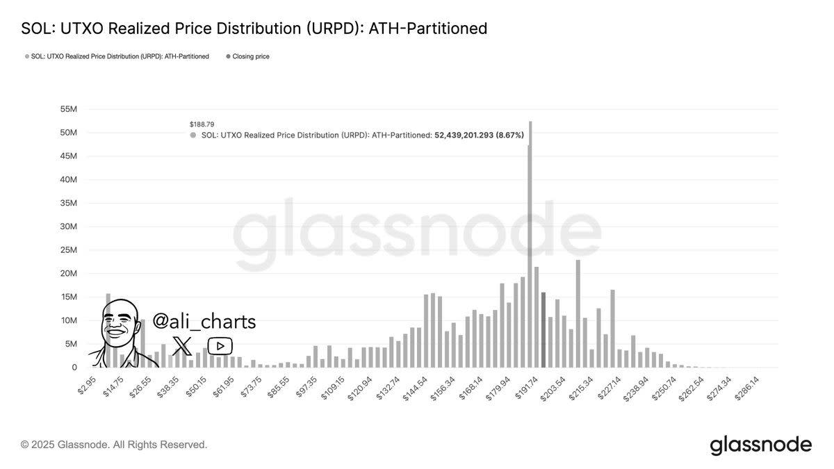Solana Bergerak Di Zona Penting Rp 3.09 juta ($188) –Rp 3.21 juta ($195) , Apa Artinya Untuk Harga SOL?