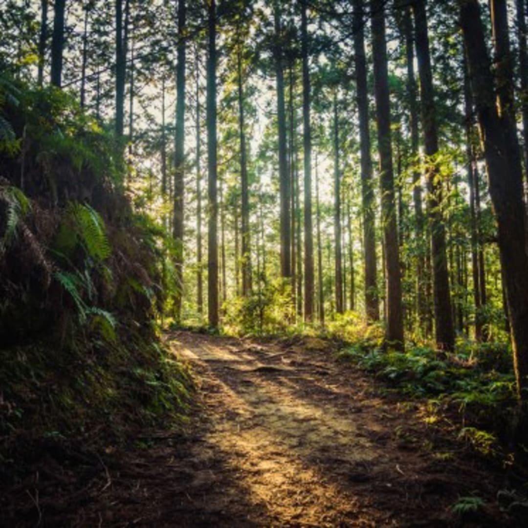 Teknologi Navigasi Bebas GPS dari Skyline Nav AI Hadirkan Solusi di Era Gangguan Sinyal