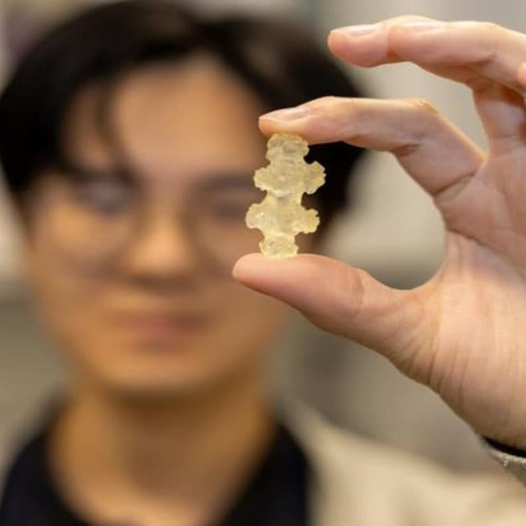 Koral Lunak Pasifik yang Bisa Mengeras Instan Jadi Inspirasi Teknologi Canggih