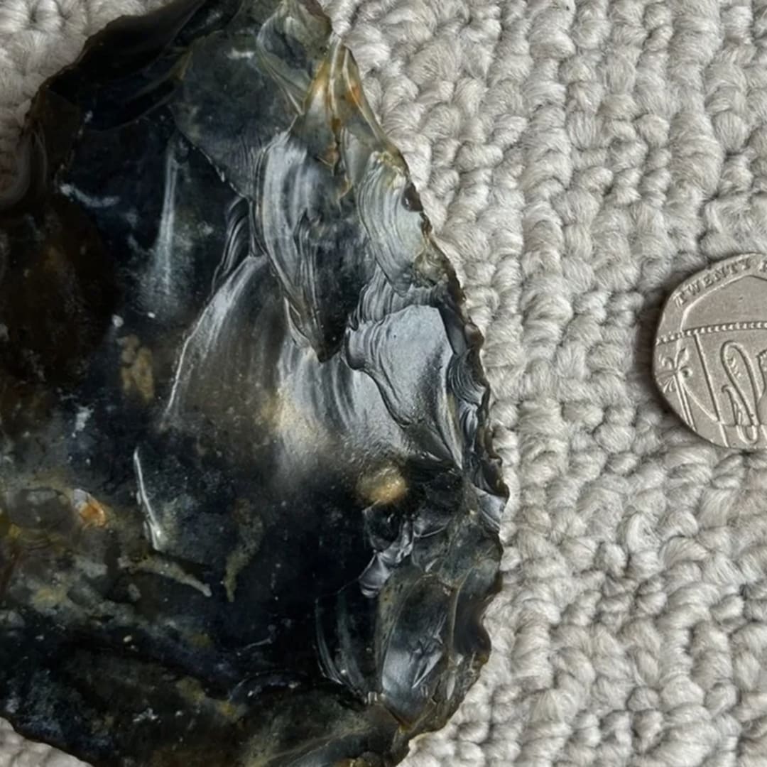 Penemuan Kapak Tangan Neanderthal Berusia 50 Ribu Tahun di Pantai Sussex