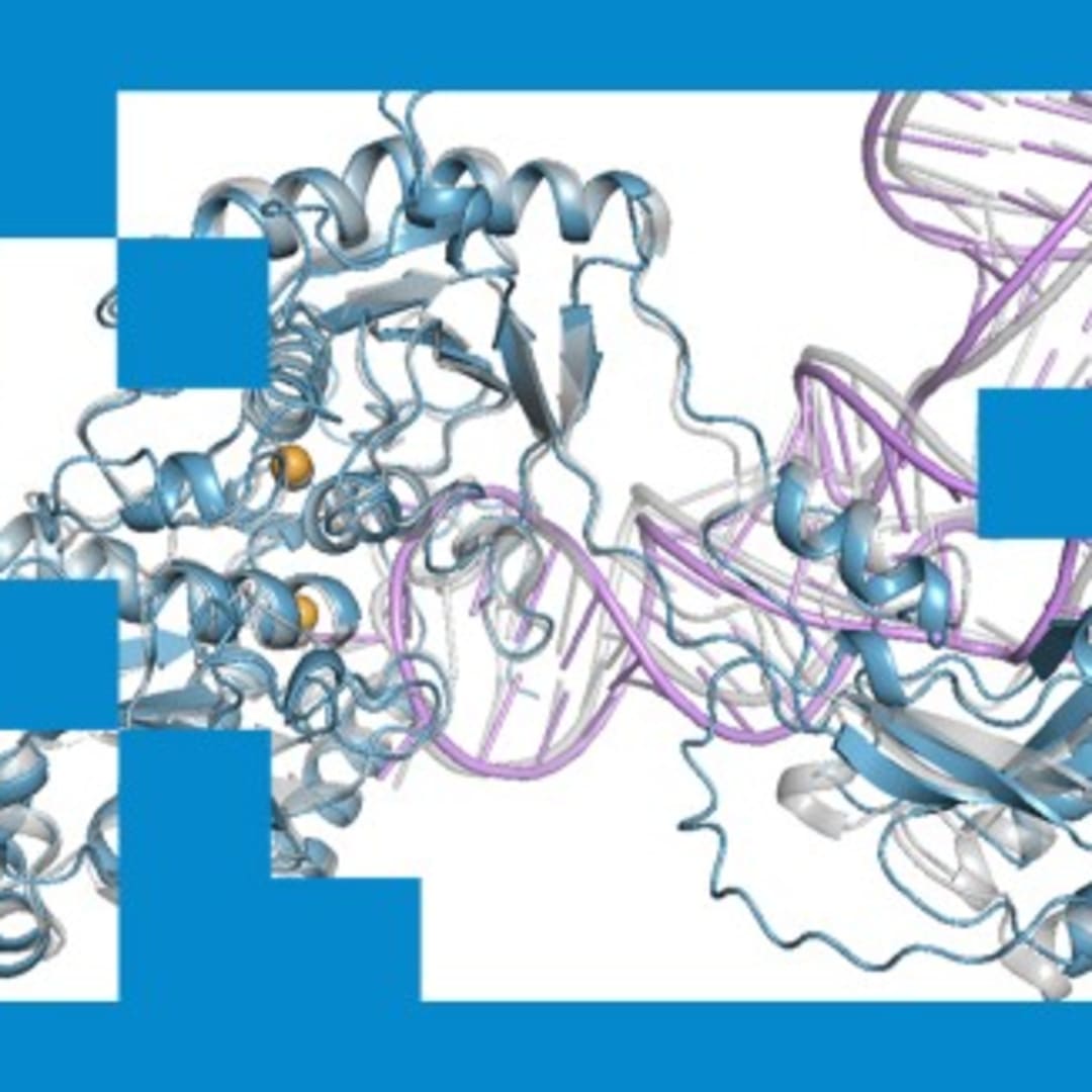 OpenFold3: AI Gratis yang Hampir Setara dengan AlphaFold3 Google DeepMind
