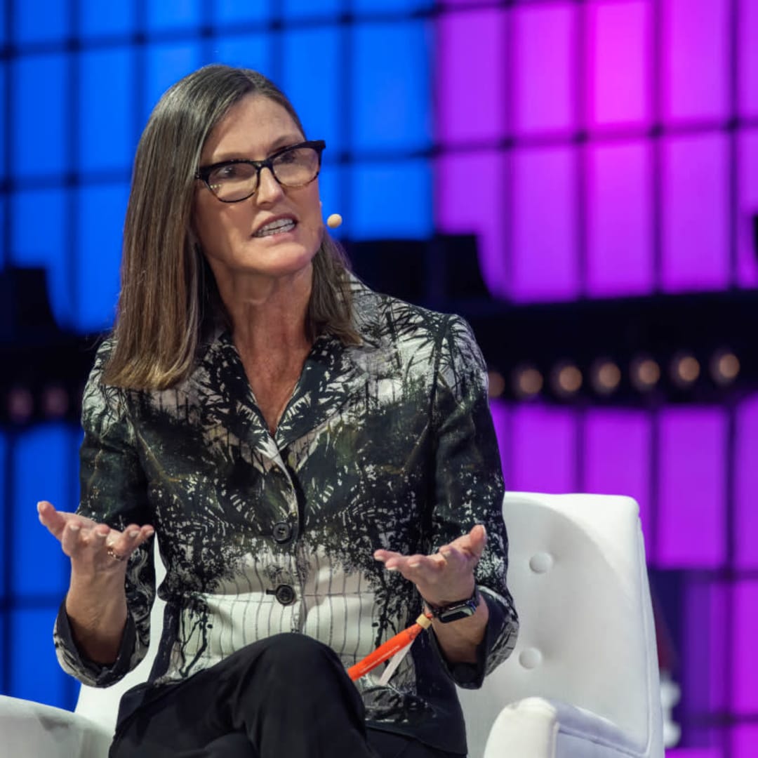Cathie Wood Geser Fokus Investasi ke Biotech dan Fintech di 2025