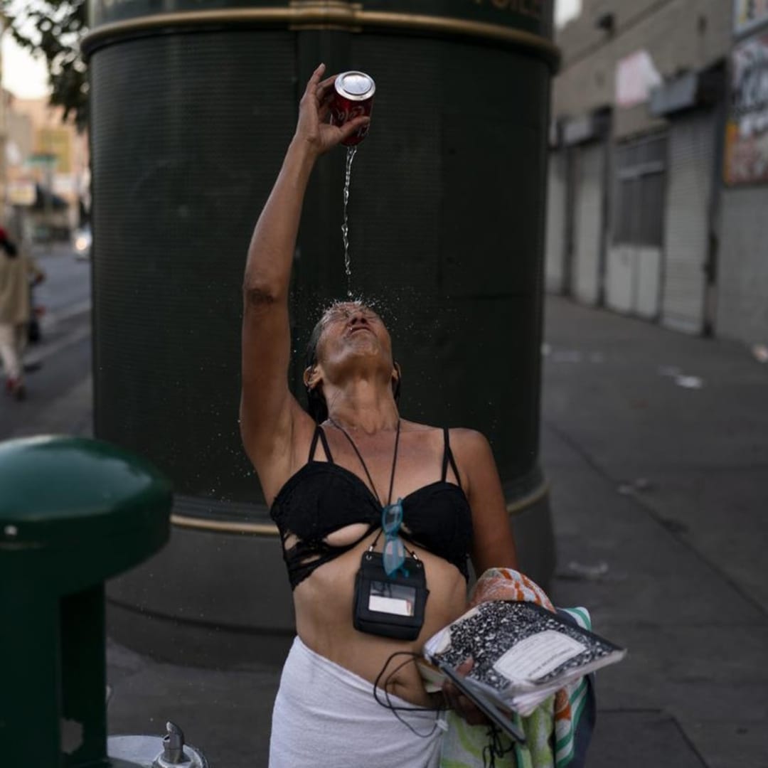 Bahaya Mikroplastik: Terakumulasi di Otak dan Ubah Perilaku Tikus