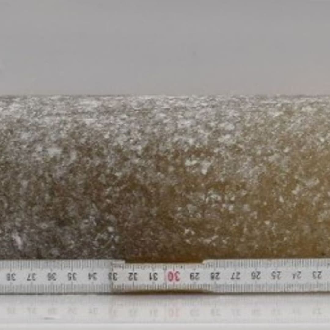 Penemuan Es Antartika Berusia Enam Juta Tahun Ungkap Iklim Purba Bumi