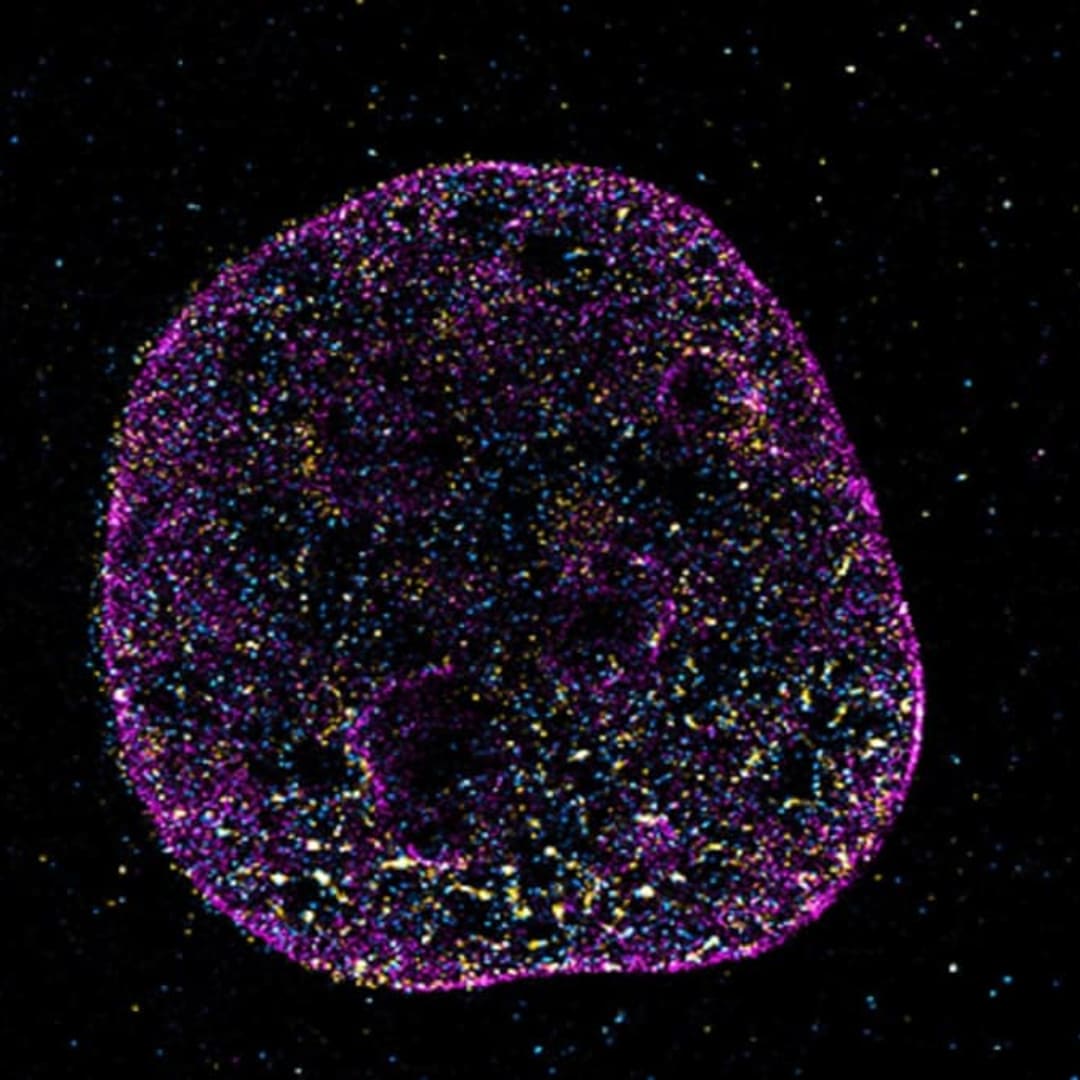 Bahasa Tersembunyi DNA: Kode Geometri yang Mengendalikan Kehidupan