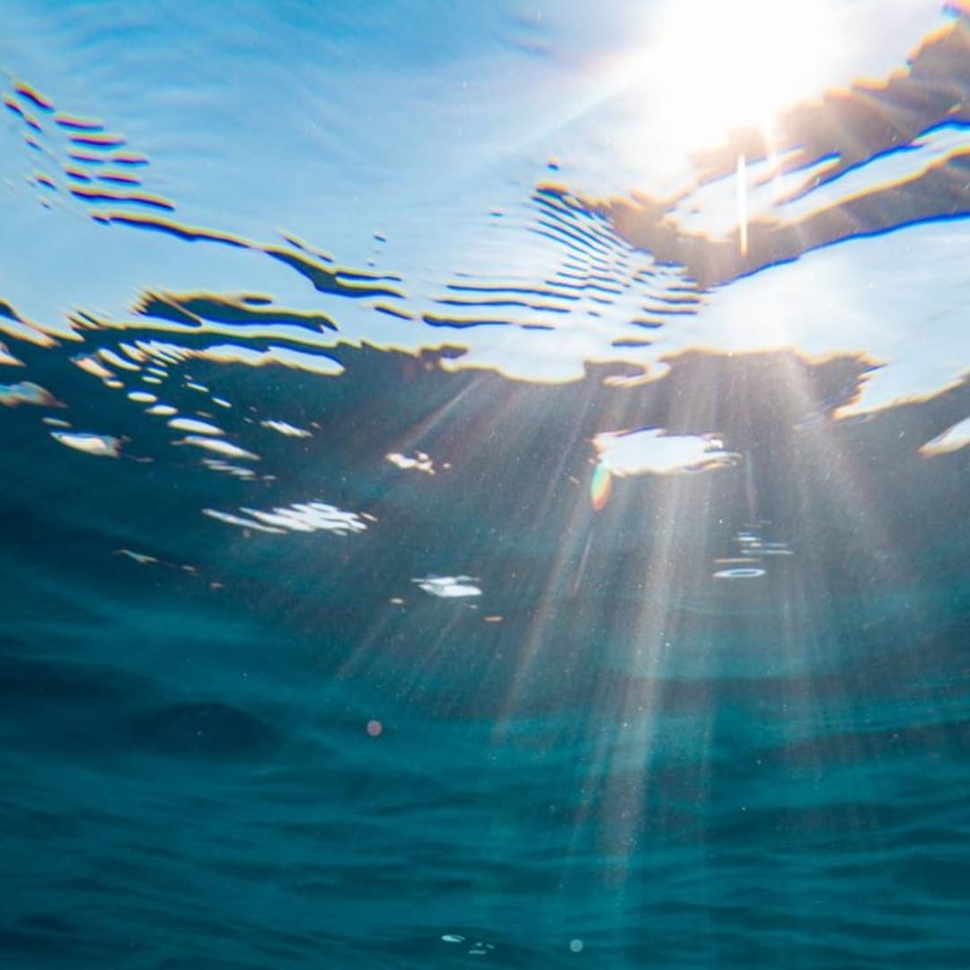 Perubahan Perilaku Paus Pembunuh Tanda Krisis Ekosistem Laut Afrika Selatan