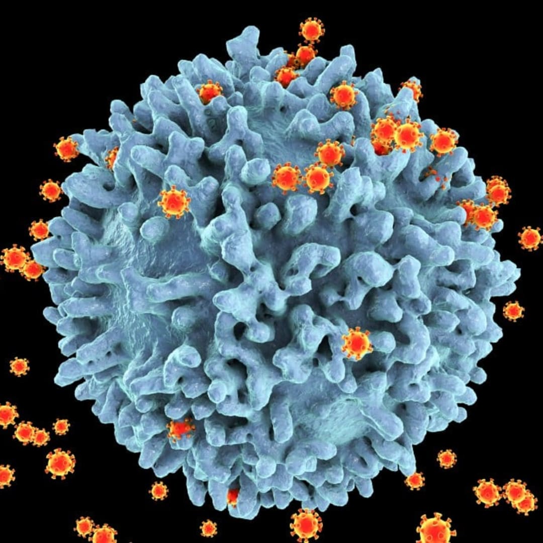 Peneliti Xie Lanjutkan Riset Vaksin HIV Berbasis mRNA di Laboratorium Terkemuka