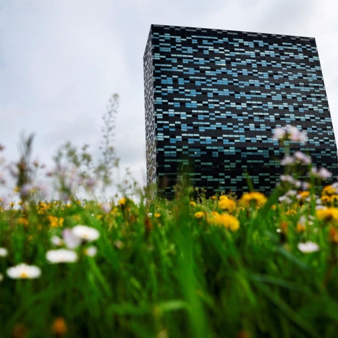 Belanda Didorong Lepaskan Kendali Nexperia Setelah Penangguhan Aturan Ekspor AS