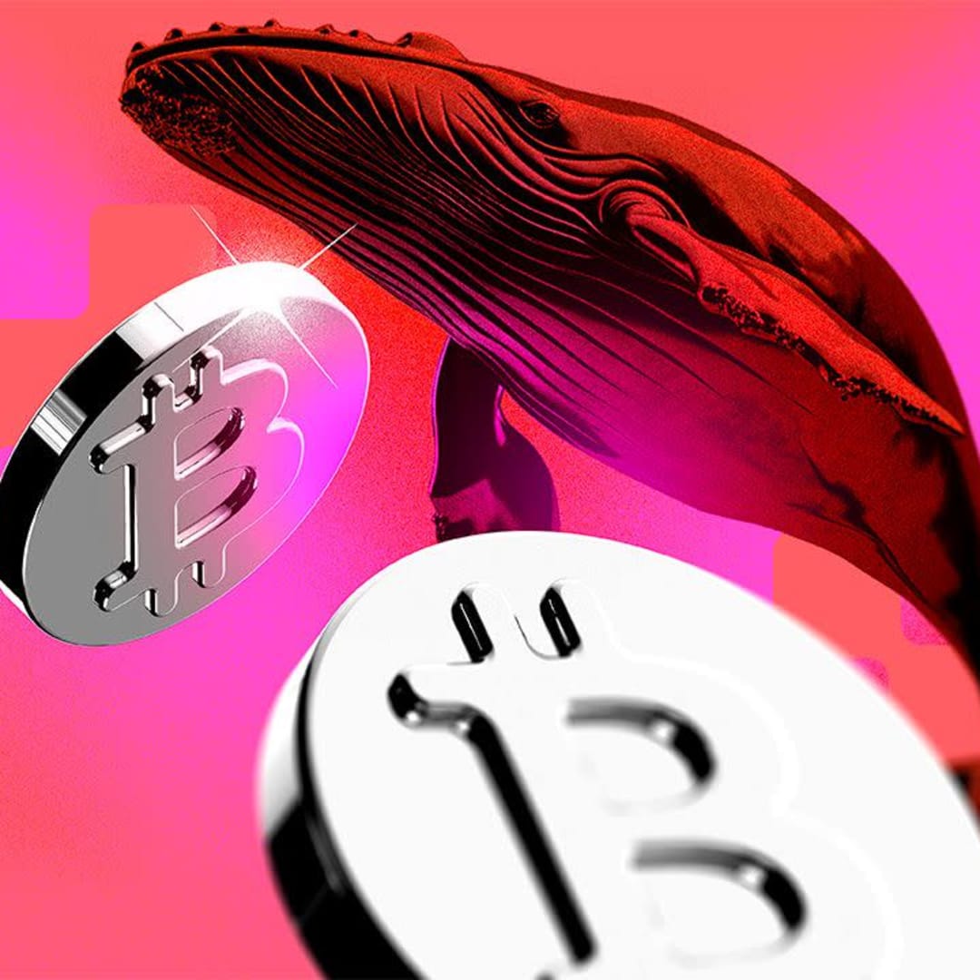 Generasi Baru Bitcoin Whales Kuasai 45% Resiko Jual Tinggi di Pasar