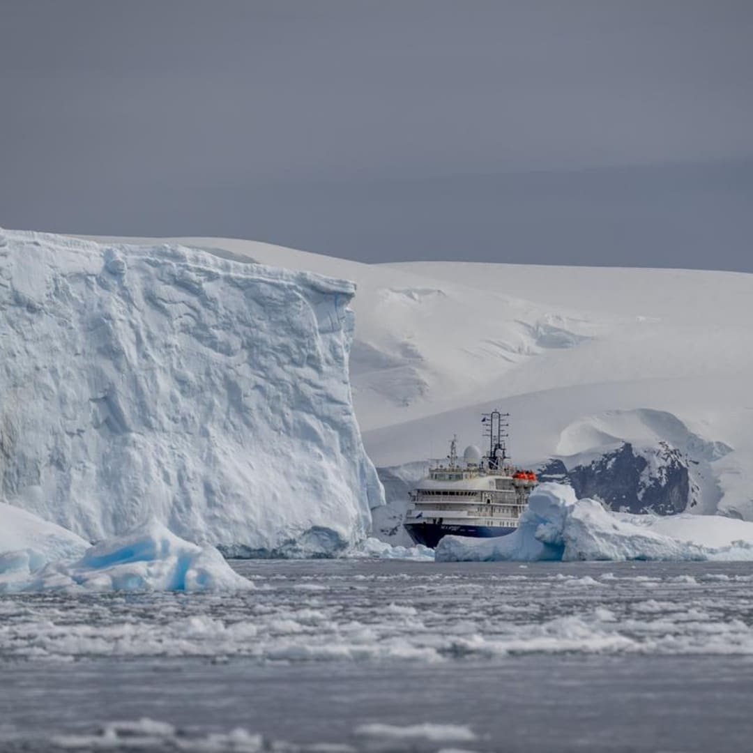 Ribuan Ikan Hidup di Dunia Baru Bawah Gunung Es Pecah di Antartika