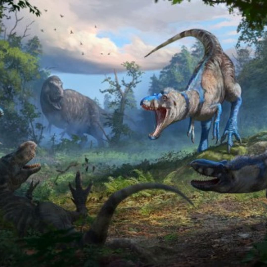 Penemuan Nanotyrannus: Spesies Kecil yang Berbeda dari Tyrannosaurus rex
