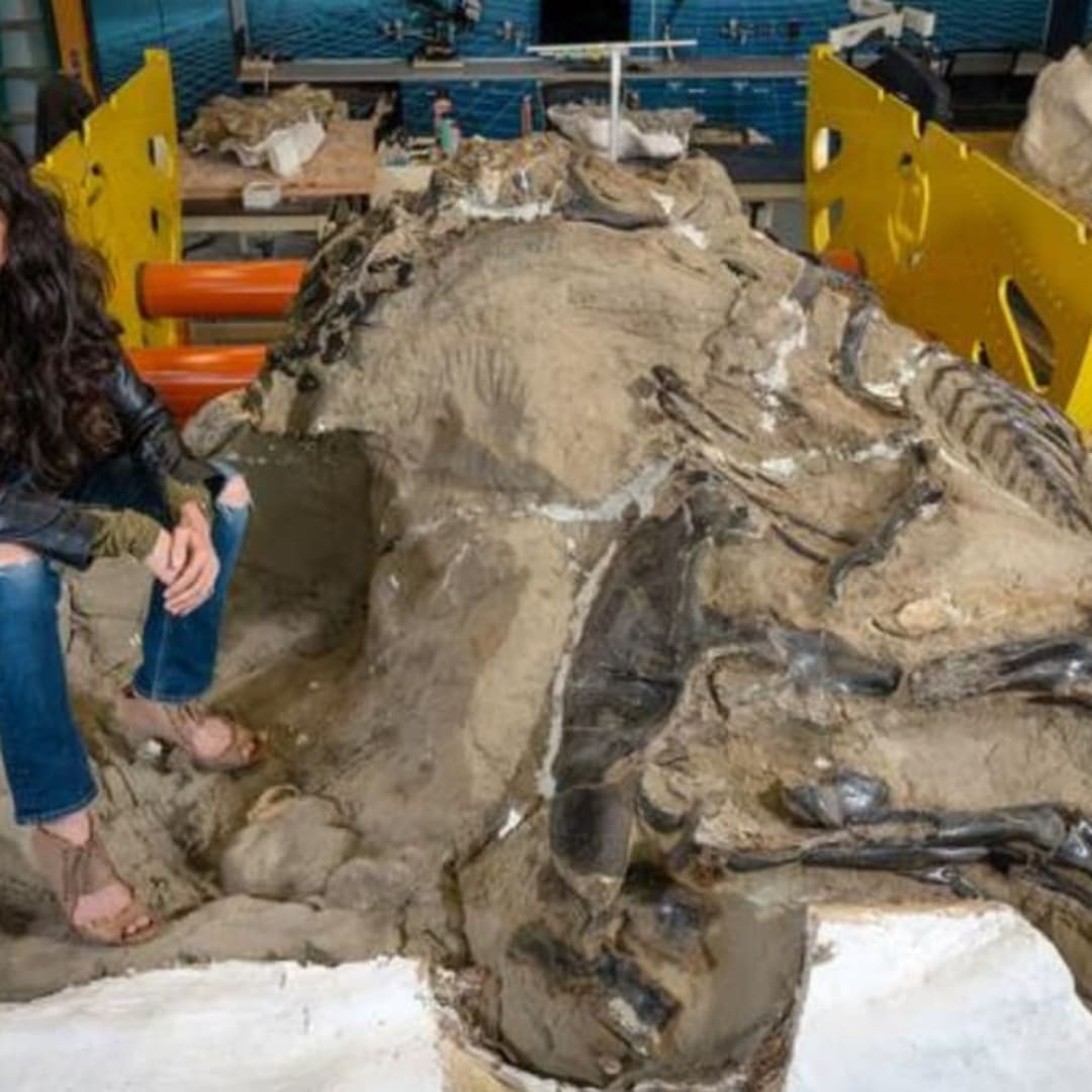 Penemuan Fosil 'Dueling Dinosaur' Buktikan Nanotyrannus Spesies Tersendiri