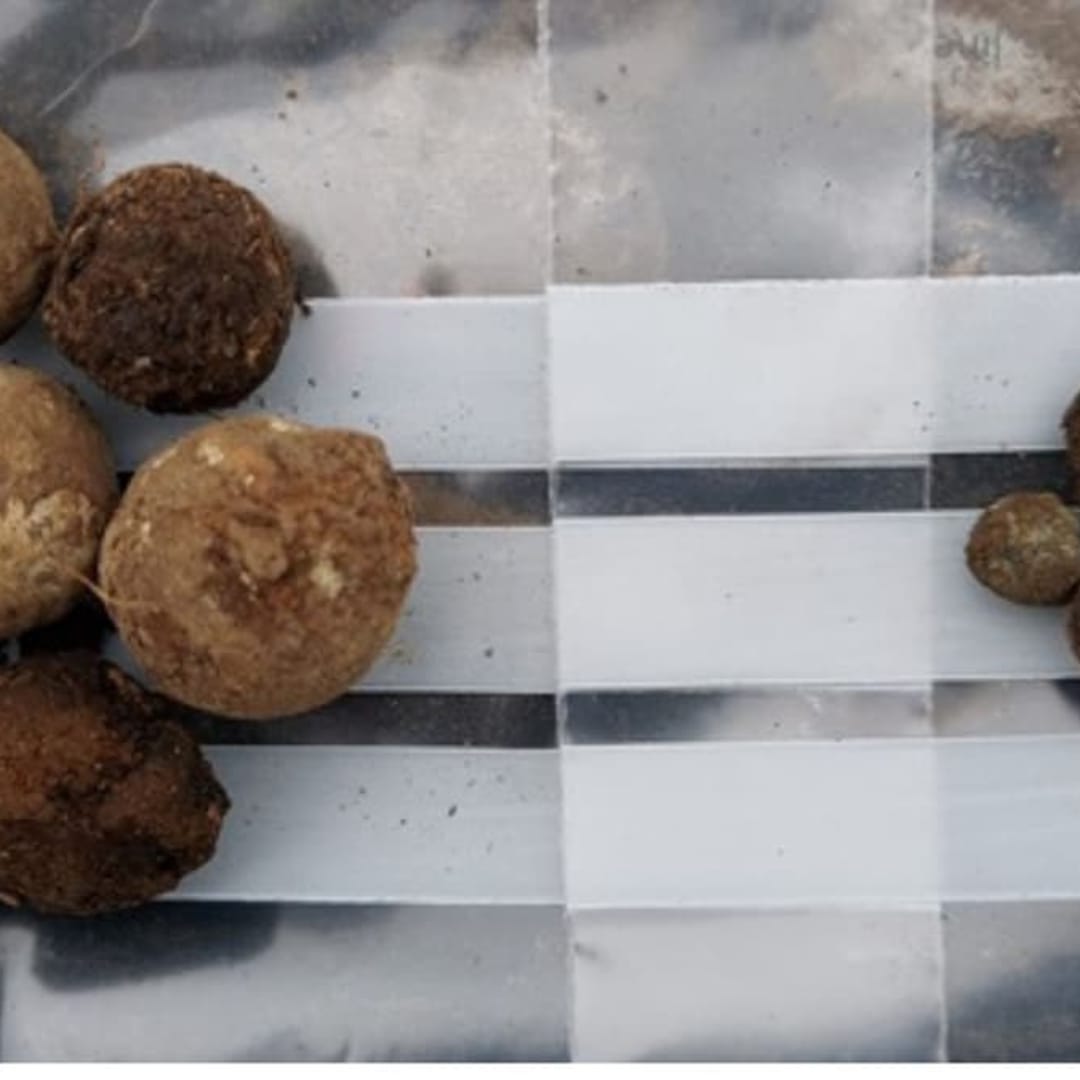 Penemuan Proyektil Senjata Ungkap Keberanian Terakhir di Medan Culloden 1746