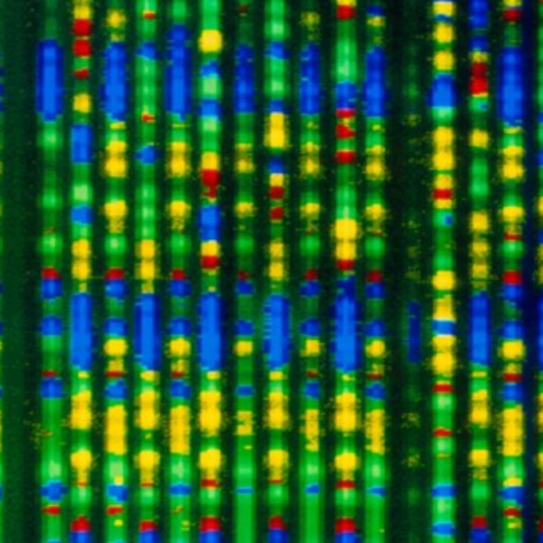 Terapi Gen Base Editing: Harapan Baru untuk Penyakit Gen Langka Anak