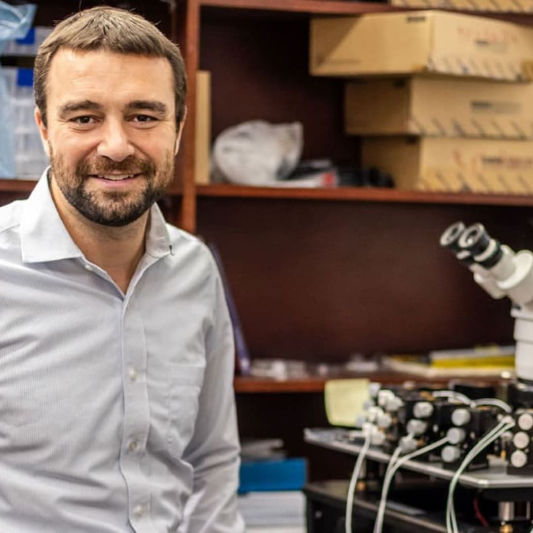 Komputer Mini Otak Daya Rendah Bisa Ubah Cara AI Belajar dan Beroperasi