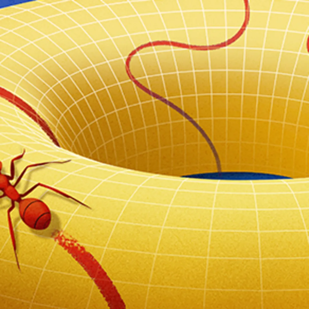 Manifold: Rahasia Bentuk dan Ruang yang Membentuk Alam Semesta Modern