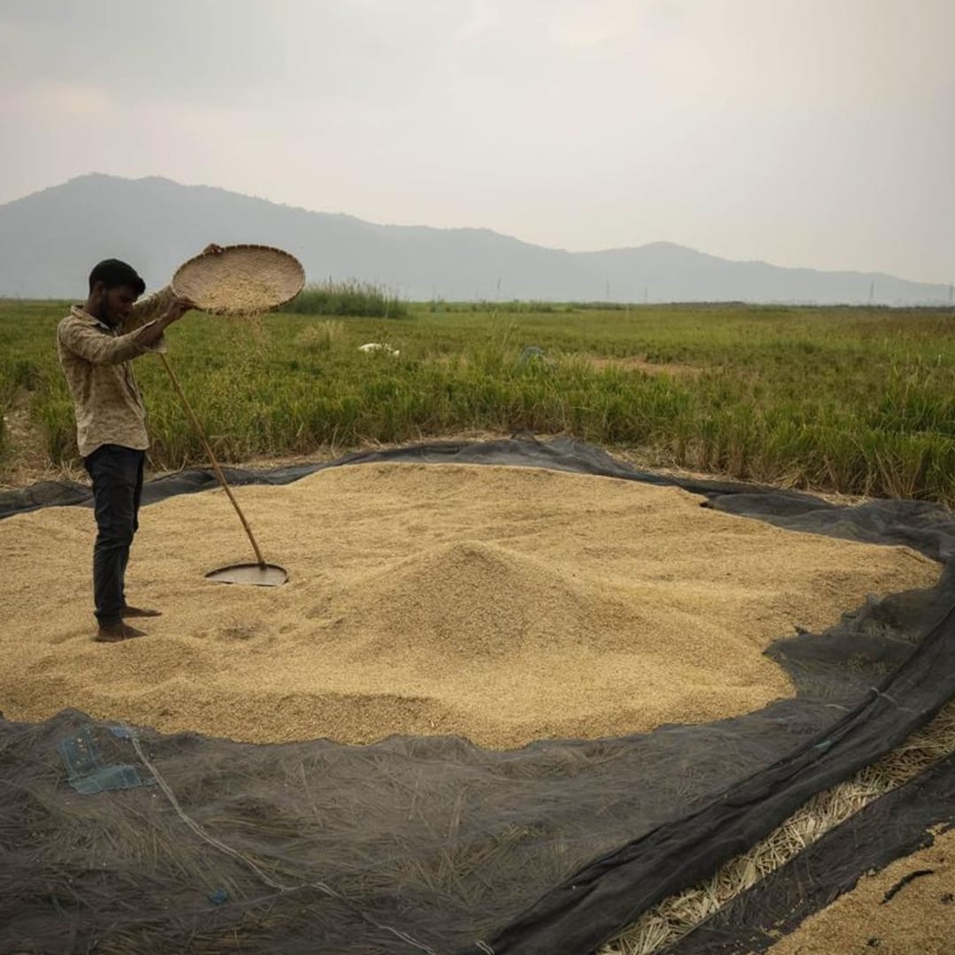 Perubahan Iklim: Ancaman Nyata yang Bisa Guncang Peradaban Manusia