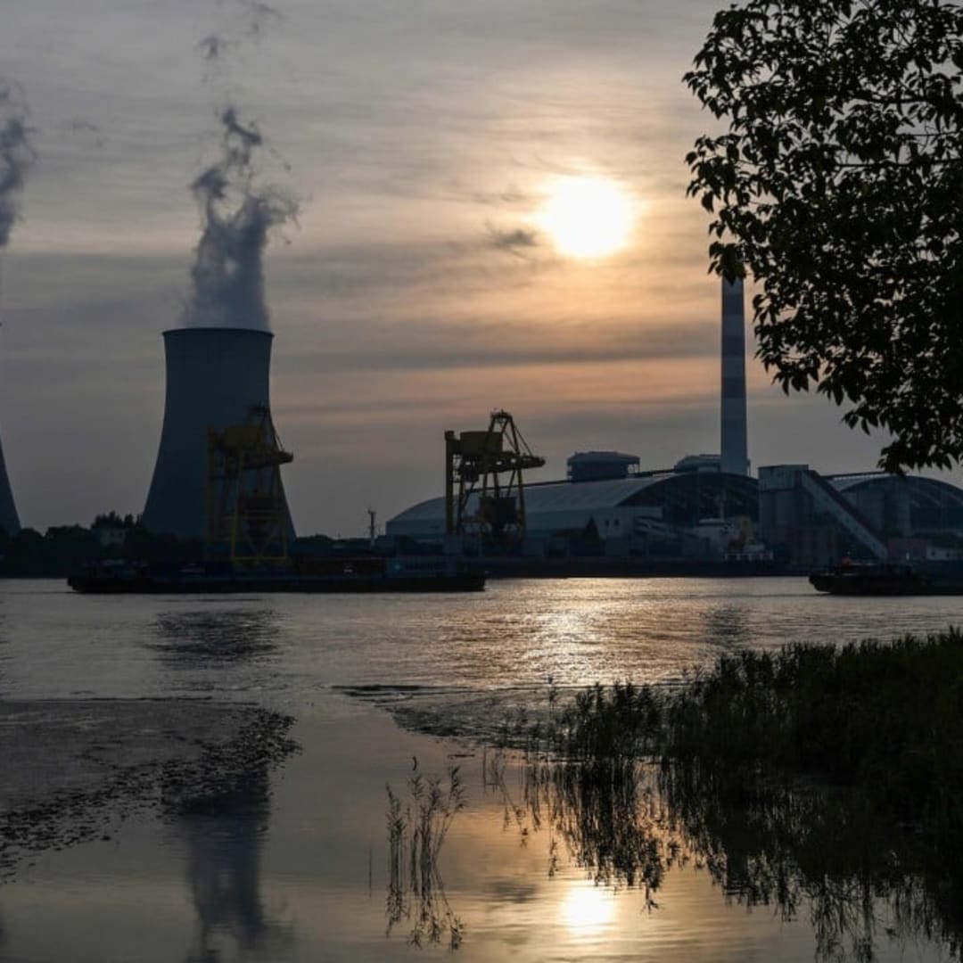 Koalisi Global Baru untuk Satukan Standar Pasar Karbon di Cop30 Brasil