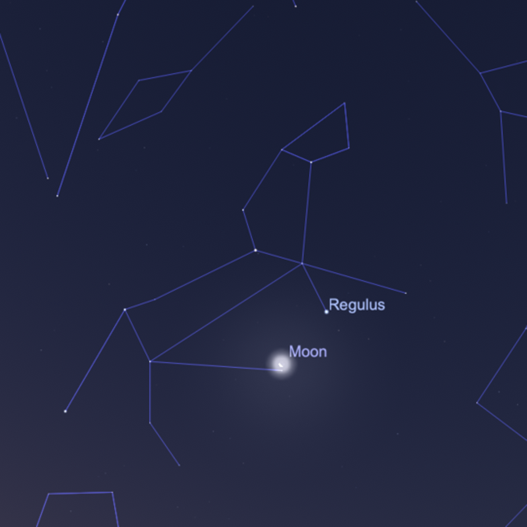 Panduan Bulan dan Hujan Meteor Leonid Minggu Ini untuk Penggemar Langit