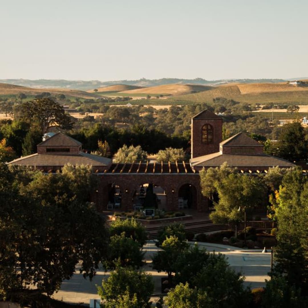 Gerakan One Block Challenge: Mengubah Masa Depan Pertanian Anggur Secara Berkelanjutan