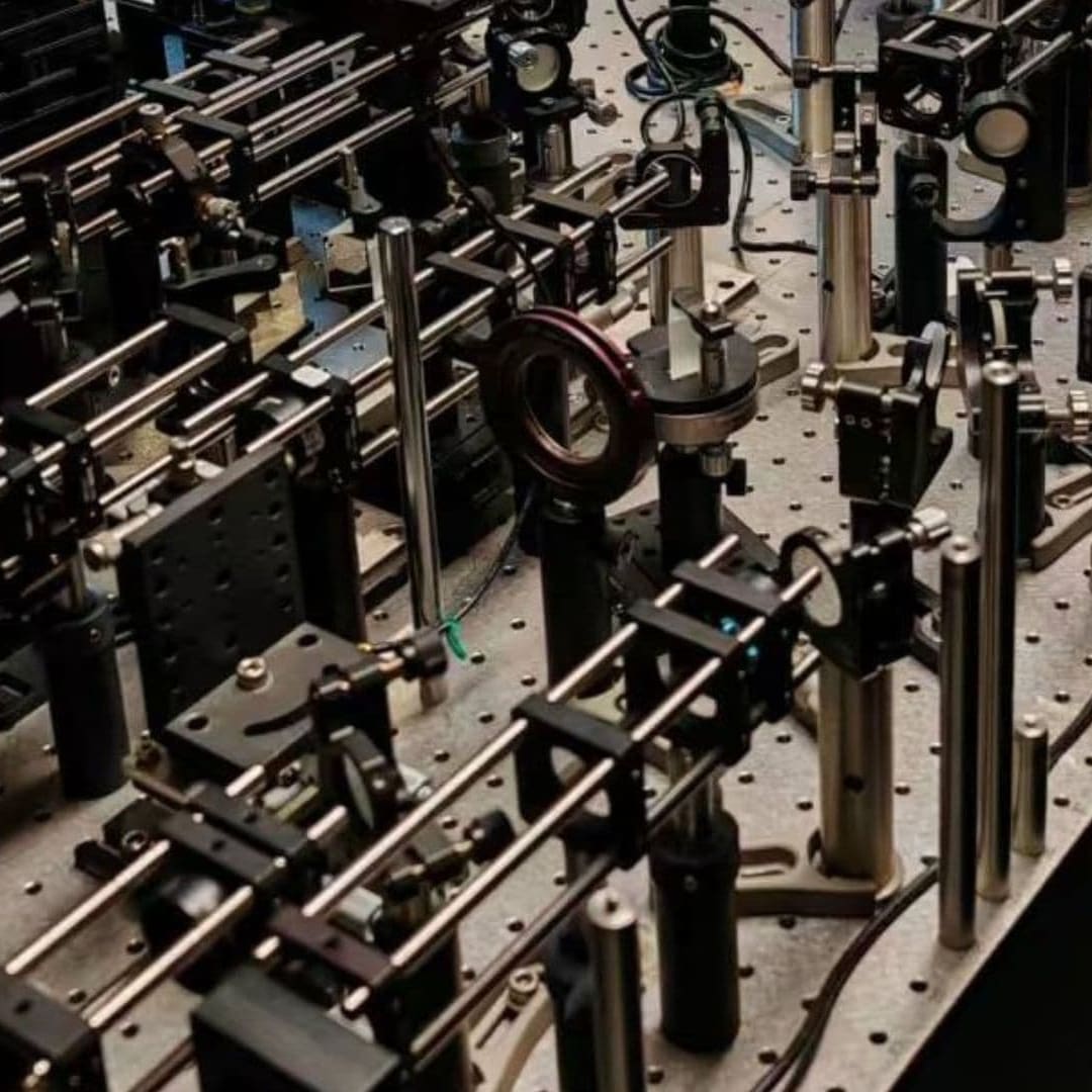 Teknologi Baru Ciptakan Gambar Otak Tikus Terjaga Tanpa Anestesi