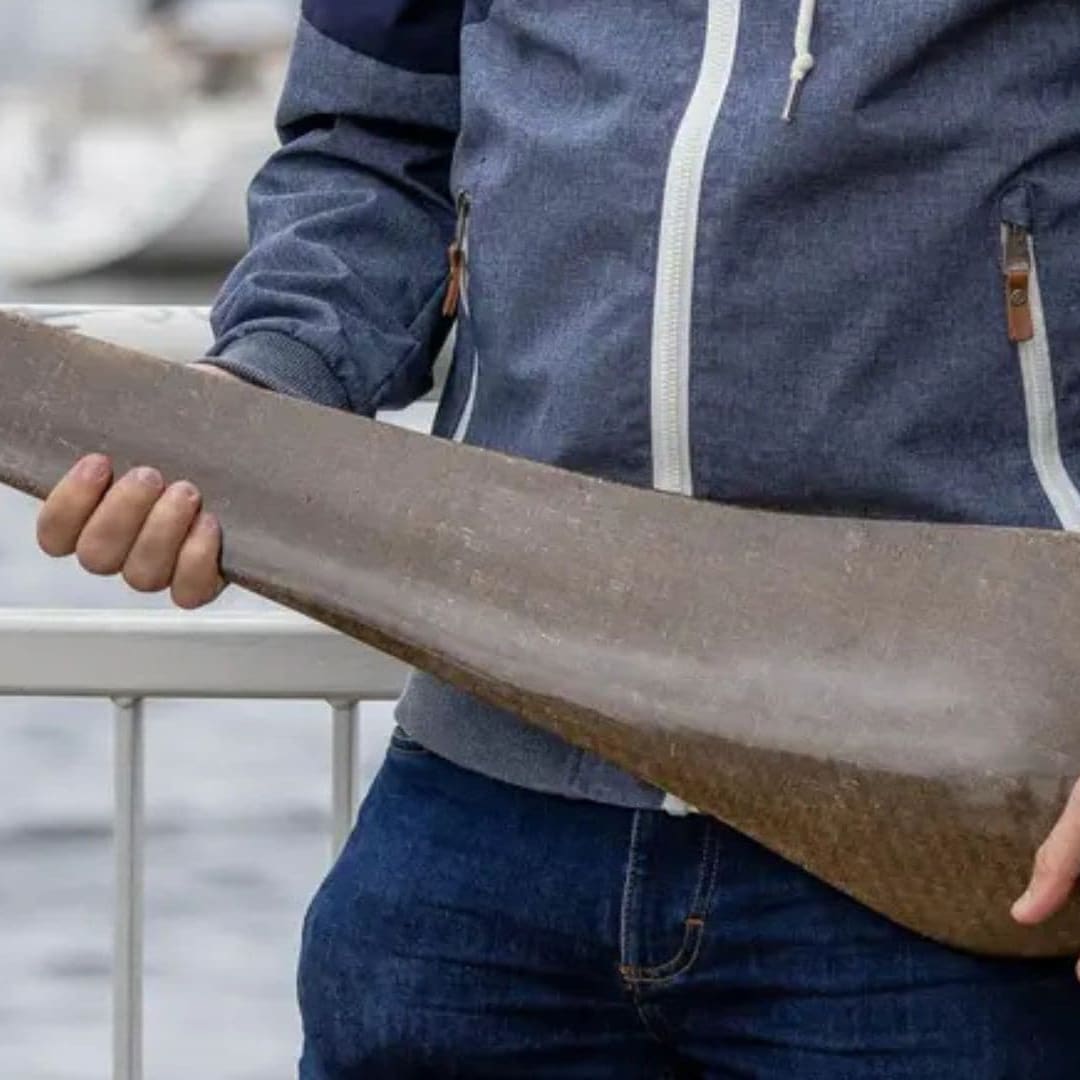 Inovasi Bilah Rotor Turbin Angin Ramah Lingkungan dengan Bahan Alami