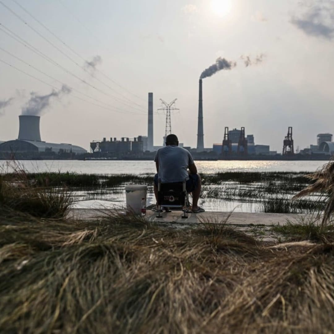 China Tolak Biaya Perlindungan Hutan Brasil, Minta Negara Kaya Bertanggung Jawab