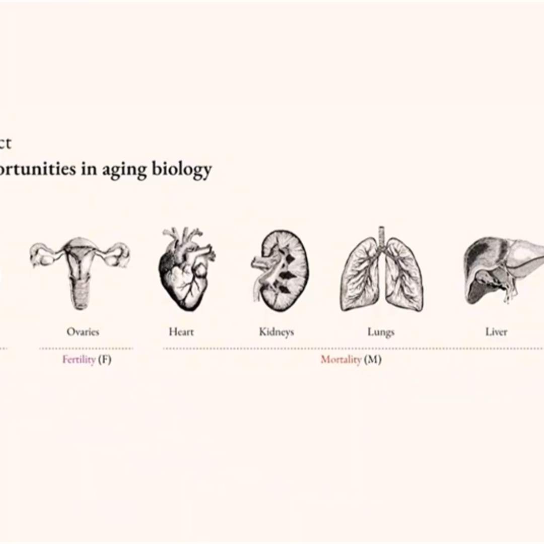 Bagaimana AI dan Biotek Perpanjang Usia Sehat dan Ubah Ekonomi Global