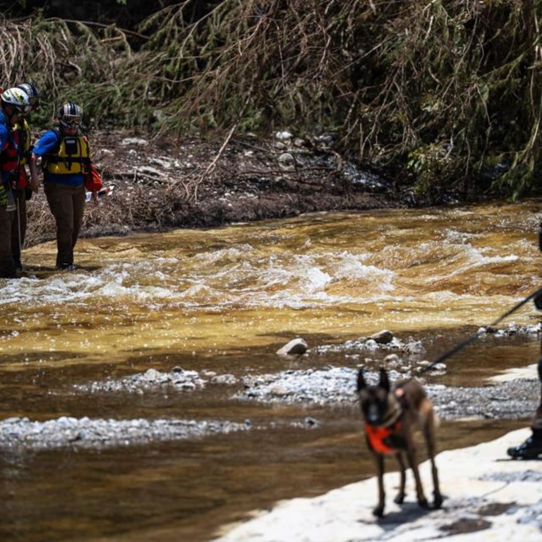 Mengapa Air Harus Dianggap Aset Strategis dalam Ekonomi Global
