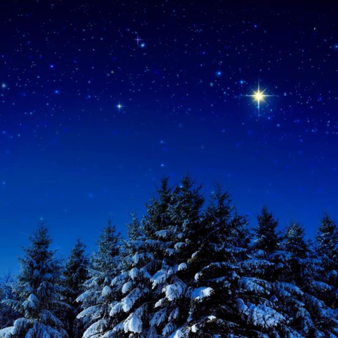 Mengetahui Planet Terang di Langit Timur November 2025: Jupiter dan Venus